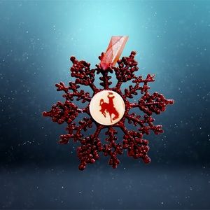 Wyoming COWBOYS Handmade Snowflake Ornament *NEW*